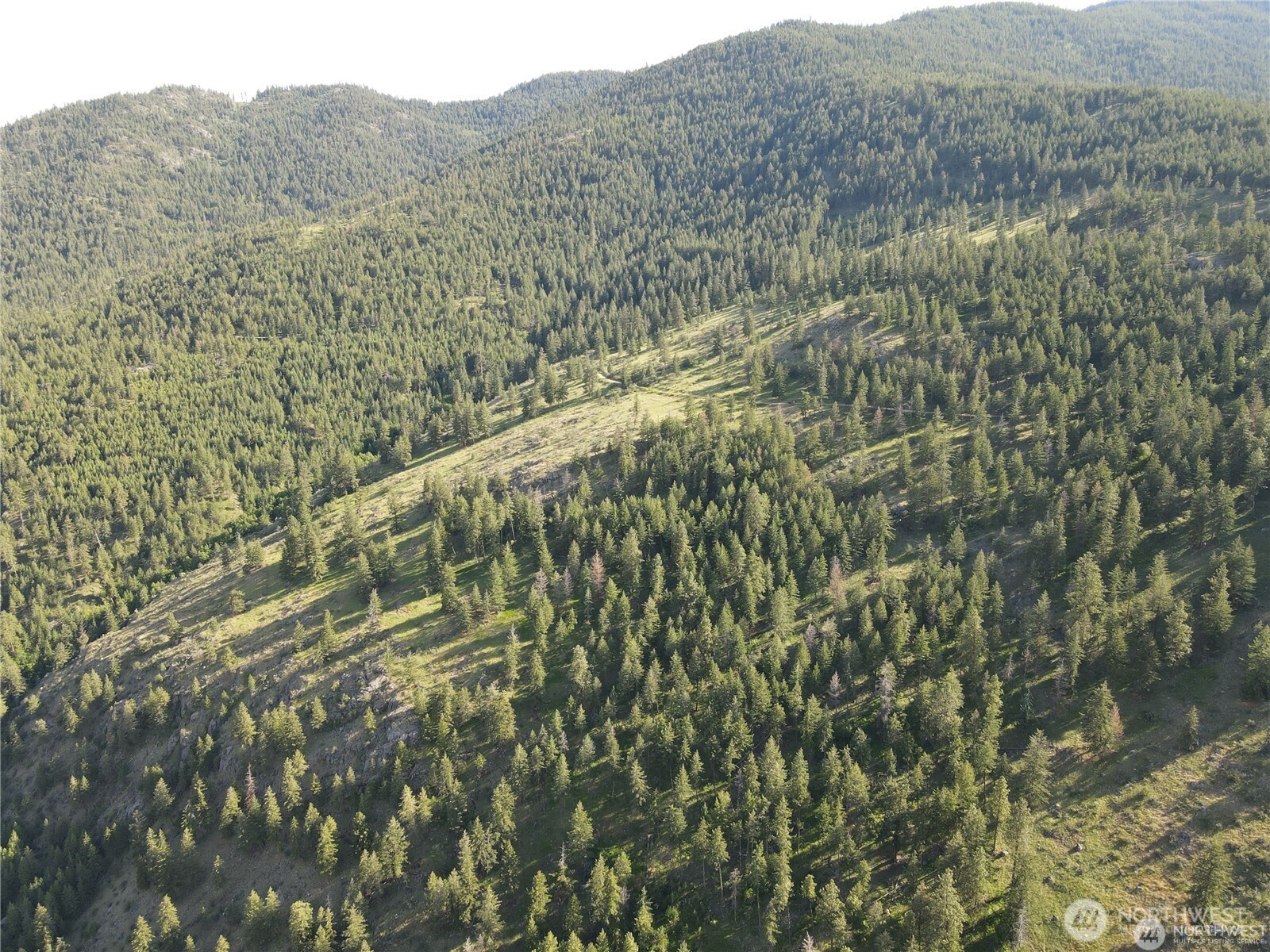 350-tbd Toats Coulee Road Loomis, WA 98827 - Photo 33 of 36