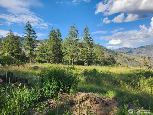 a view of a lake with a yard