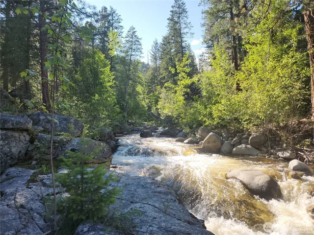 a view of a yard with trees