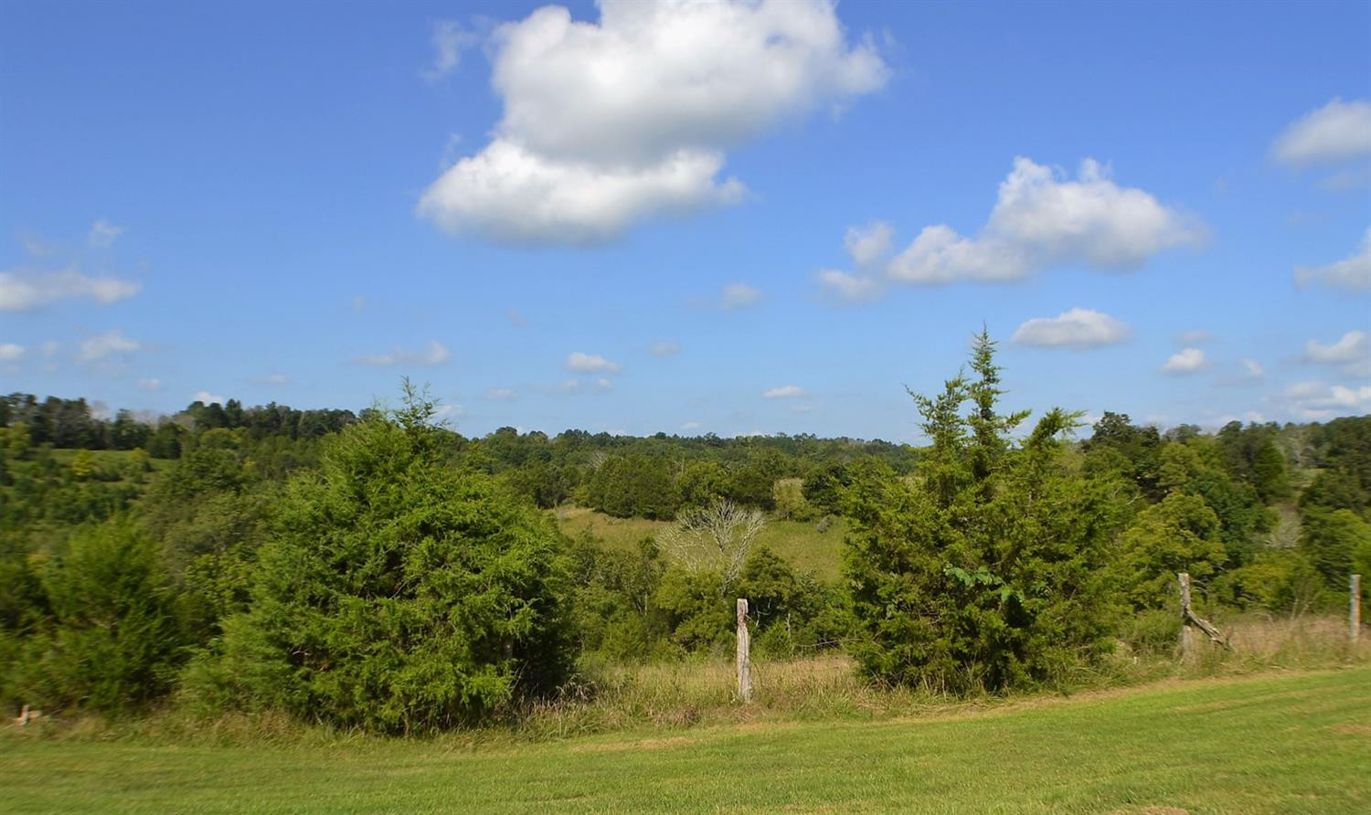 1685 Lincoln Ridge Road Williamstown, KY 41097 - Photo 27 of 30 Gallery Image 27