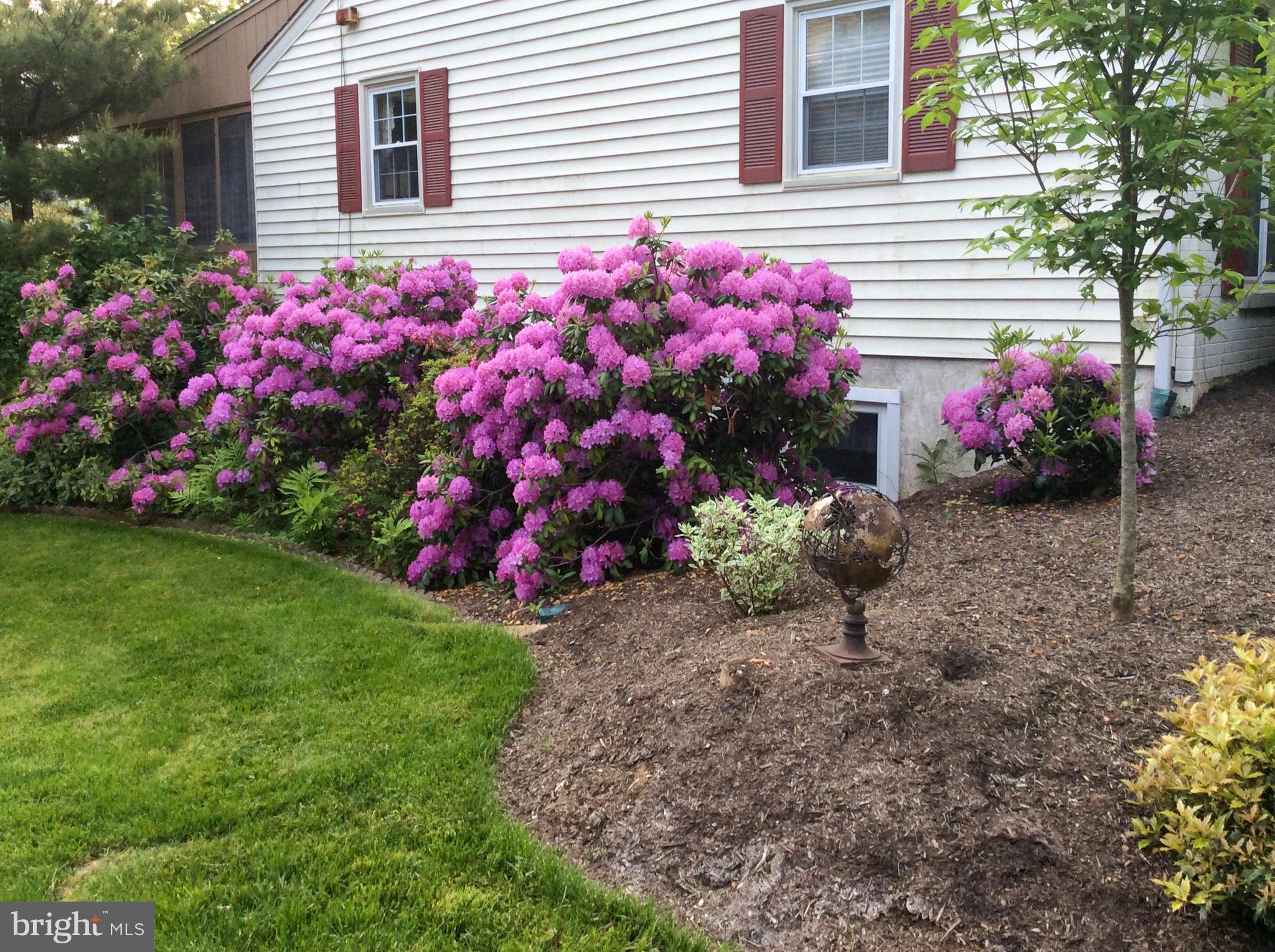 127 Bartholomew Road Berwyn, PA 19312 - Photo 27 of 38 Beautiful Garden