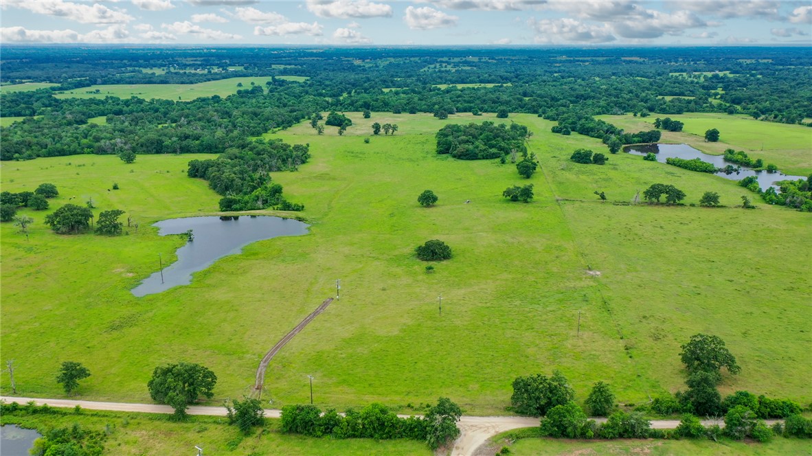 Tbd Pleasant Grove Road Iola, TX 77861 - Photo 2 of 18 a view of a garden with an outdoor space