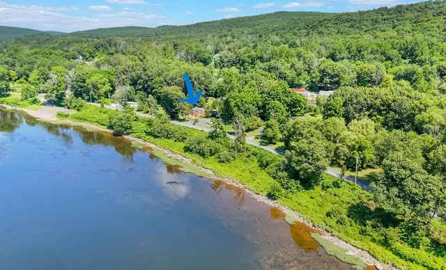 a view of a garden with a lake