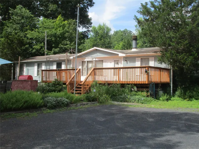 a view of a backyard with lawn chairs plants and large trees