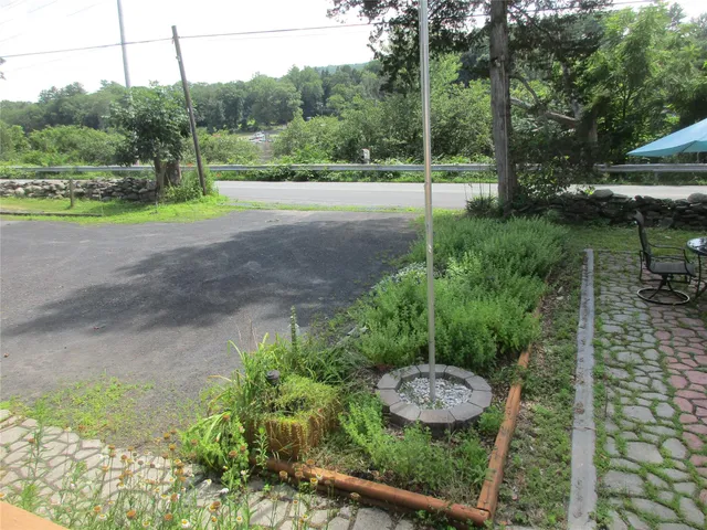 a view of a yard with yellow plants