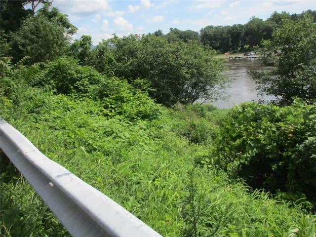 a view of a yard with a house