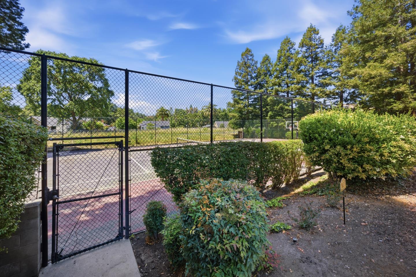1669 Geary Road Walnut Creek, CA 94597 - Photo 39 of 39 a view of a backyard with garden
