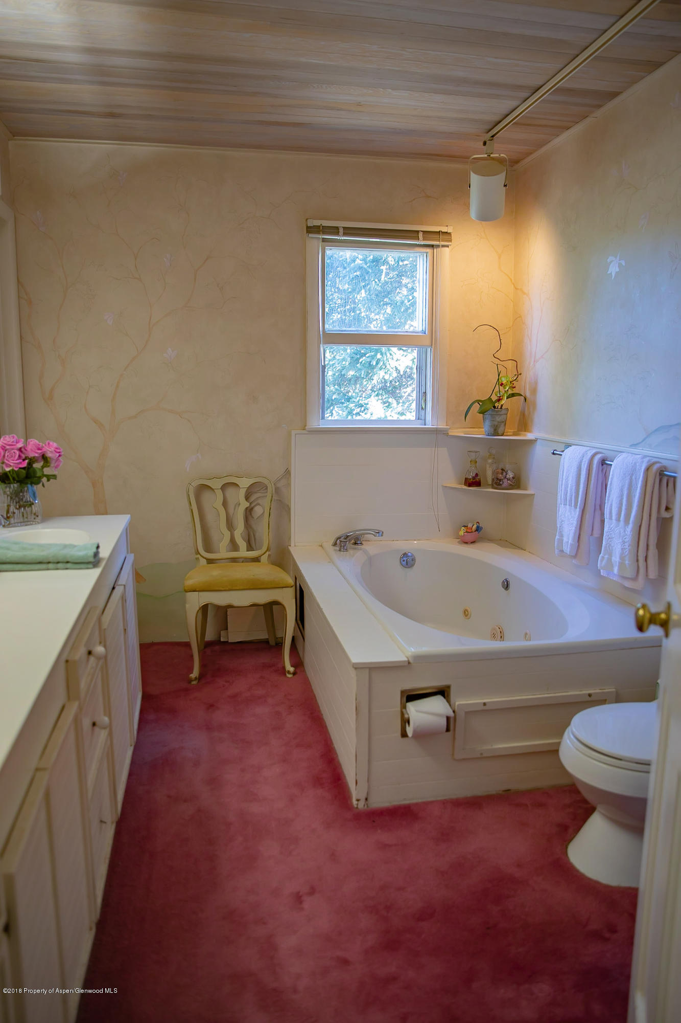513 North Thomas Road Carbondale, CO 81623 - Photo 17 of 23 a bathroom with a sink a toilet and a bathtub