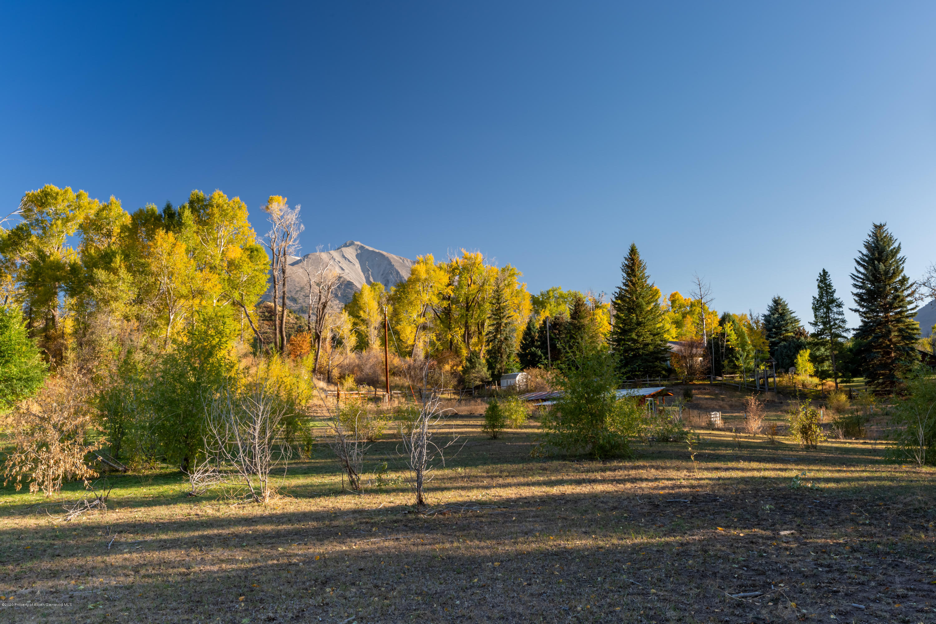 513 North Thomas Road Carbondale, CO 81623 - Photo 23 of 23 a view of a yard