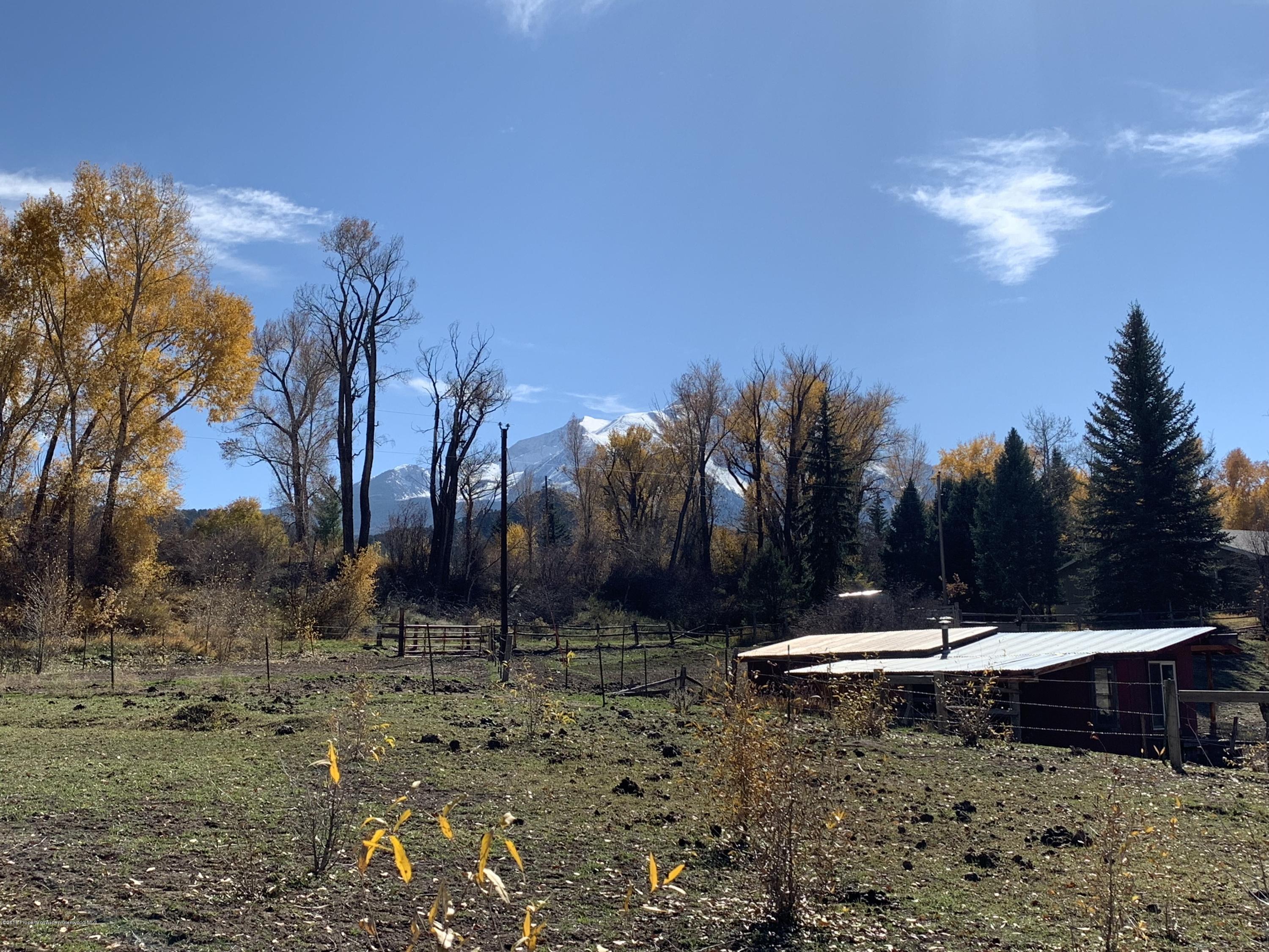 513 North Thomas Road Carbondale, CO 81623 - Photo 4 of 23 a view of outdoor space with trees