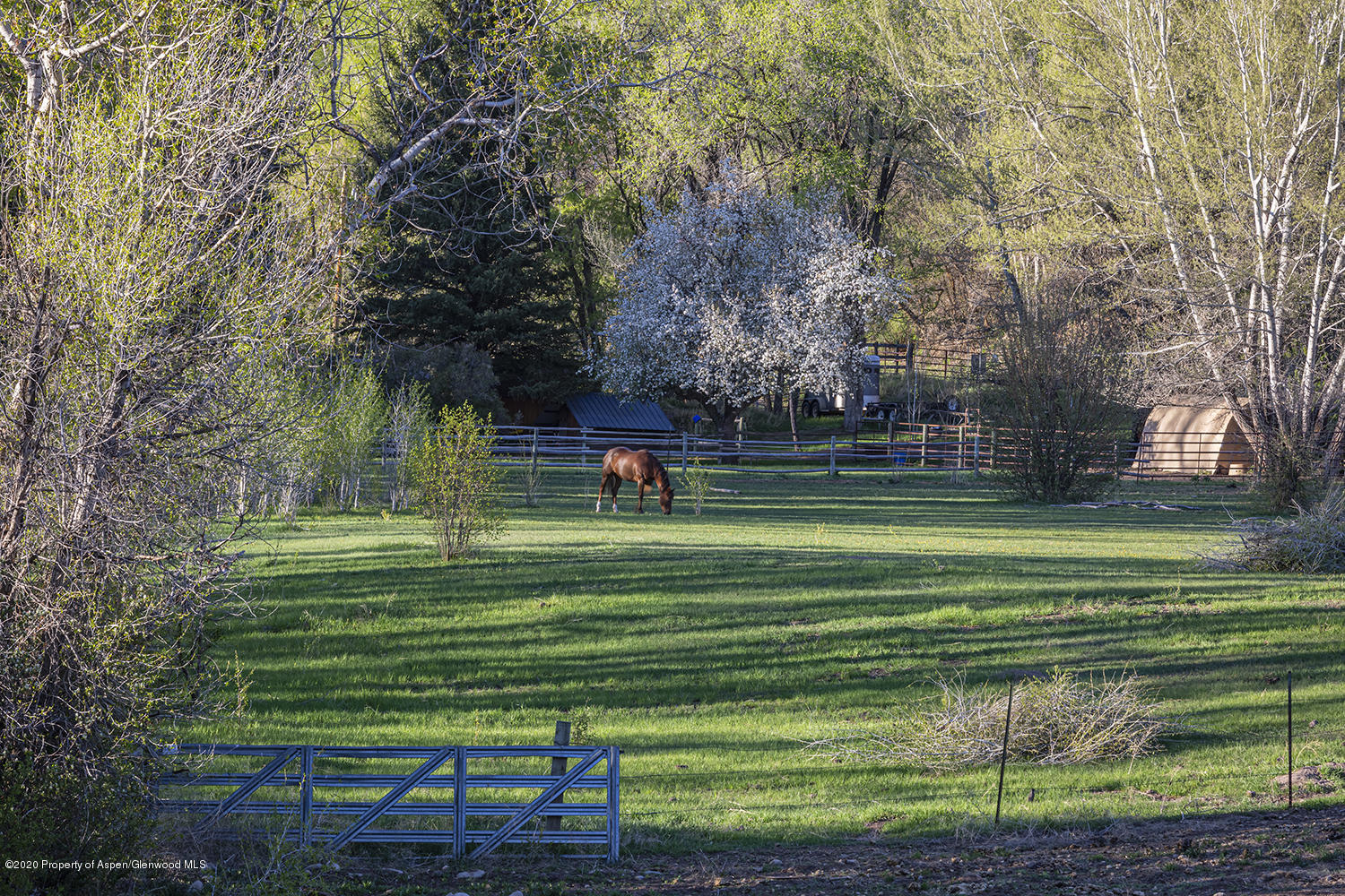 513 North Thomas Road Carbondale, CO 81623 - Photo 6 of 23 a view of a park with a large trees