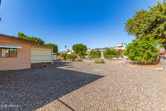 a view of a backyard with large tree