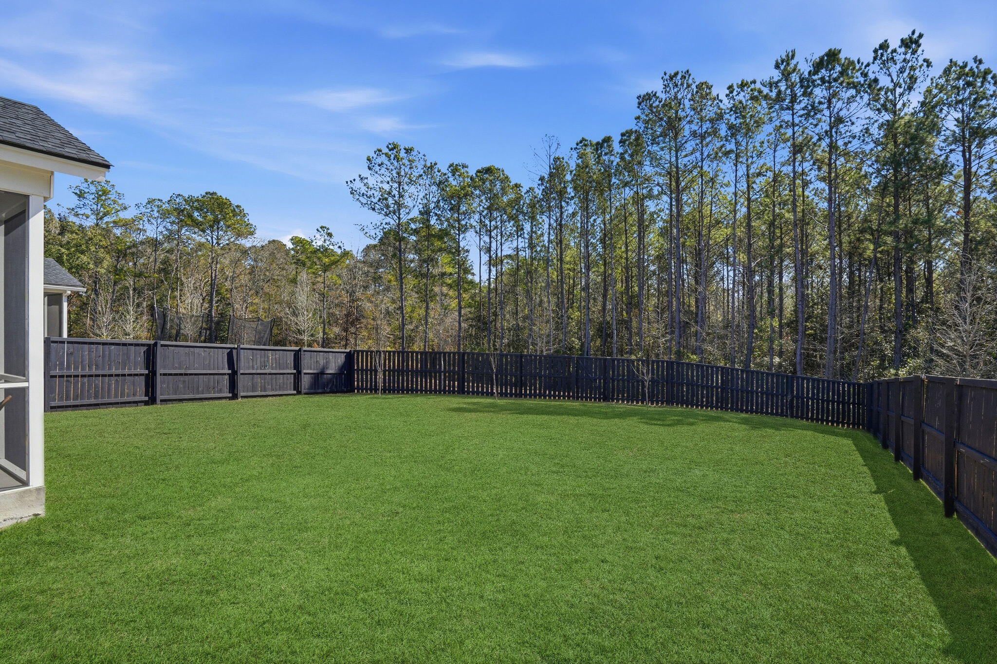 132 Red Bluff Street Summerville, SC 29483 - Photo 41 of 51 49-web-or-mls-049_DSC06664_grass_a267456