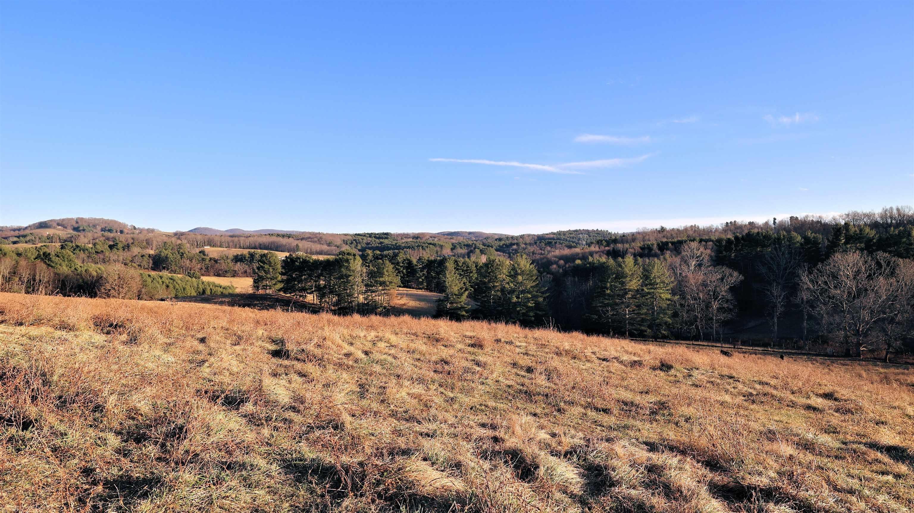 13.04 Ac Laurel Branch Road Floyd, VA 24091 - Photo 3 of 34 Gallery Image 3