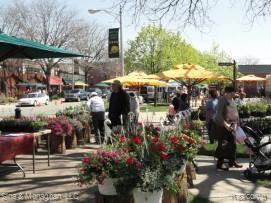 1179 Whittier Road Grosse Pointe, MI 48230 - Photo 51 of 59 GROSSE POINTE PARK MARKET.jpg