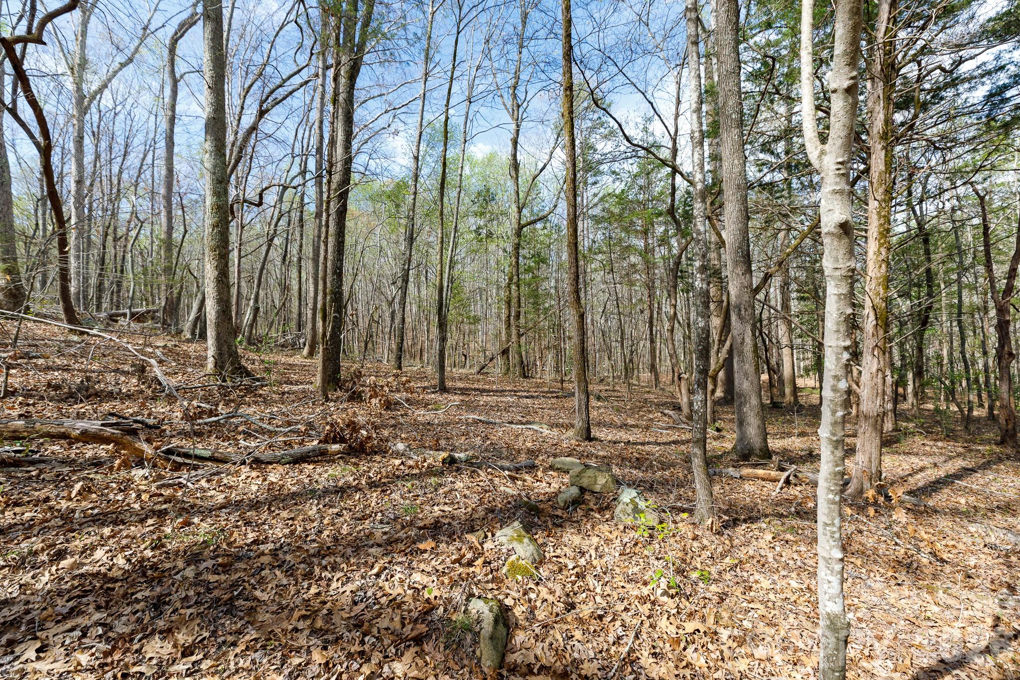 1108 State Rd S-46-996 York, SC 29745 - Photo 47 of 48