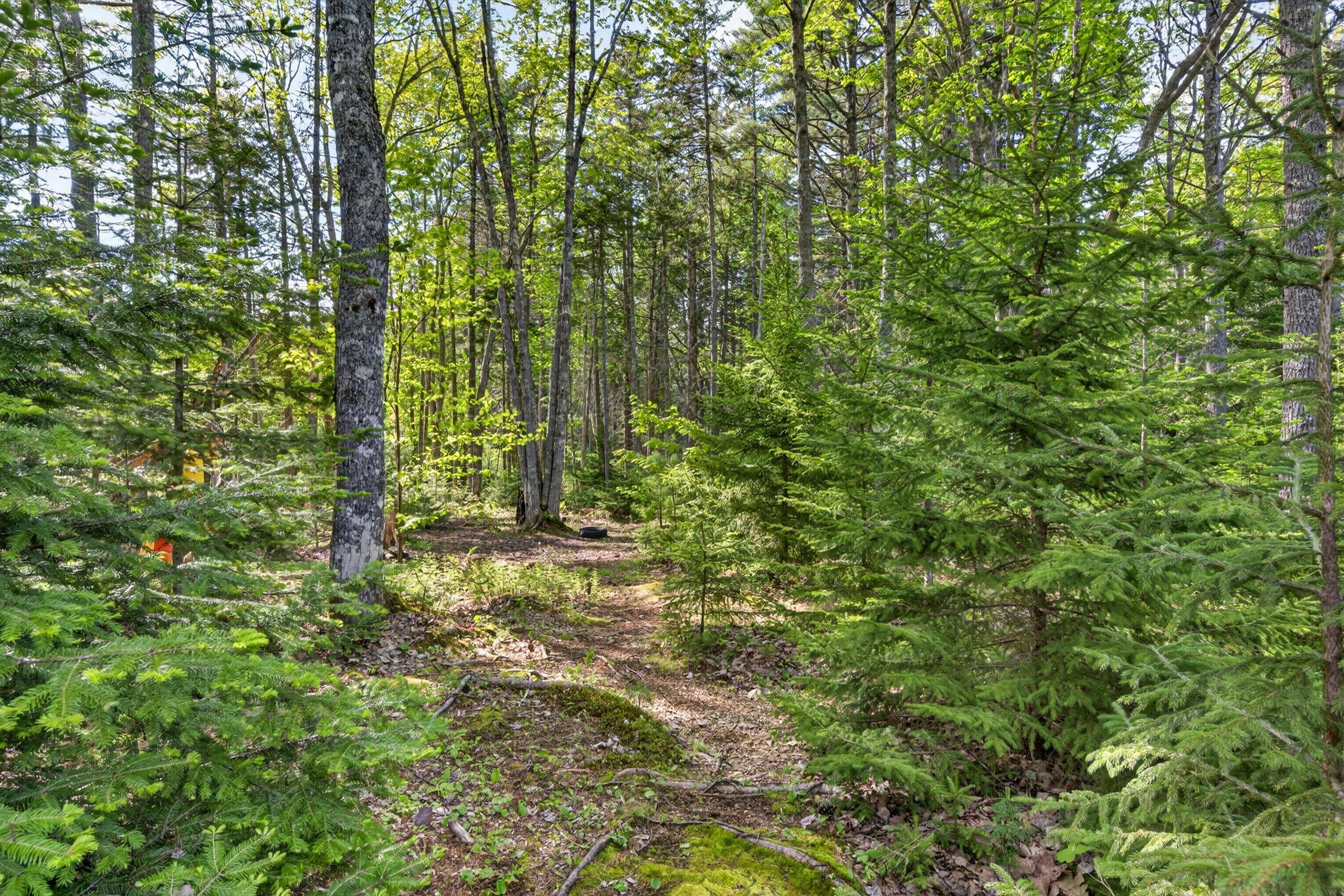 5 Hales Woods Road Brooklin, ME 04616 - Photo 43 of 54 55-5 Hales Woods Rd.-1605