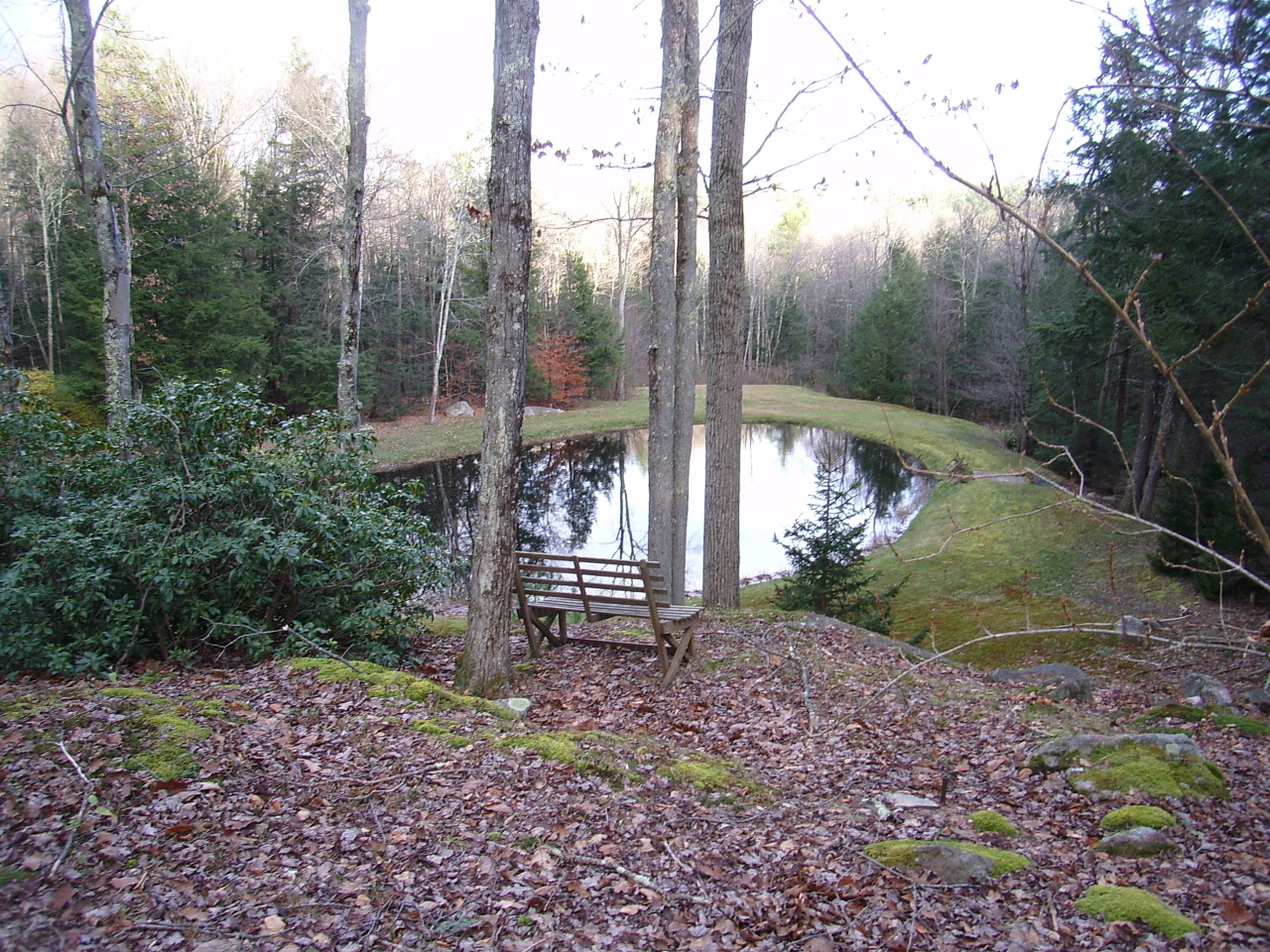 87 County Road Huntington, MA 01050 - Photo 3 of 19 a backyard of a house with lots of green space