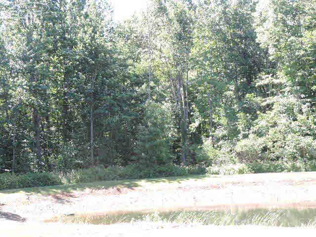 2720 Clifford Road Mayville, MI 48744 - Photo 13 of 33 21185514-12.JPG