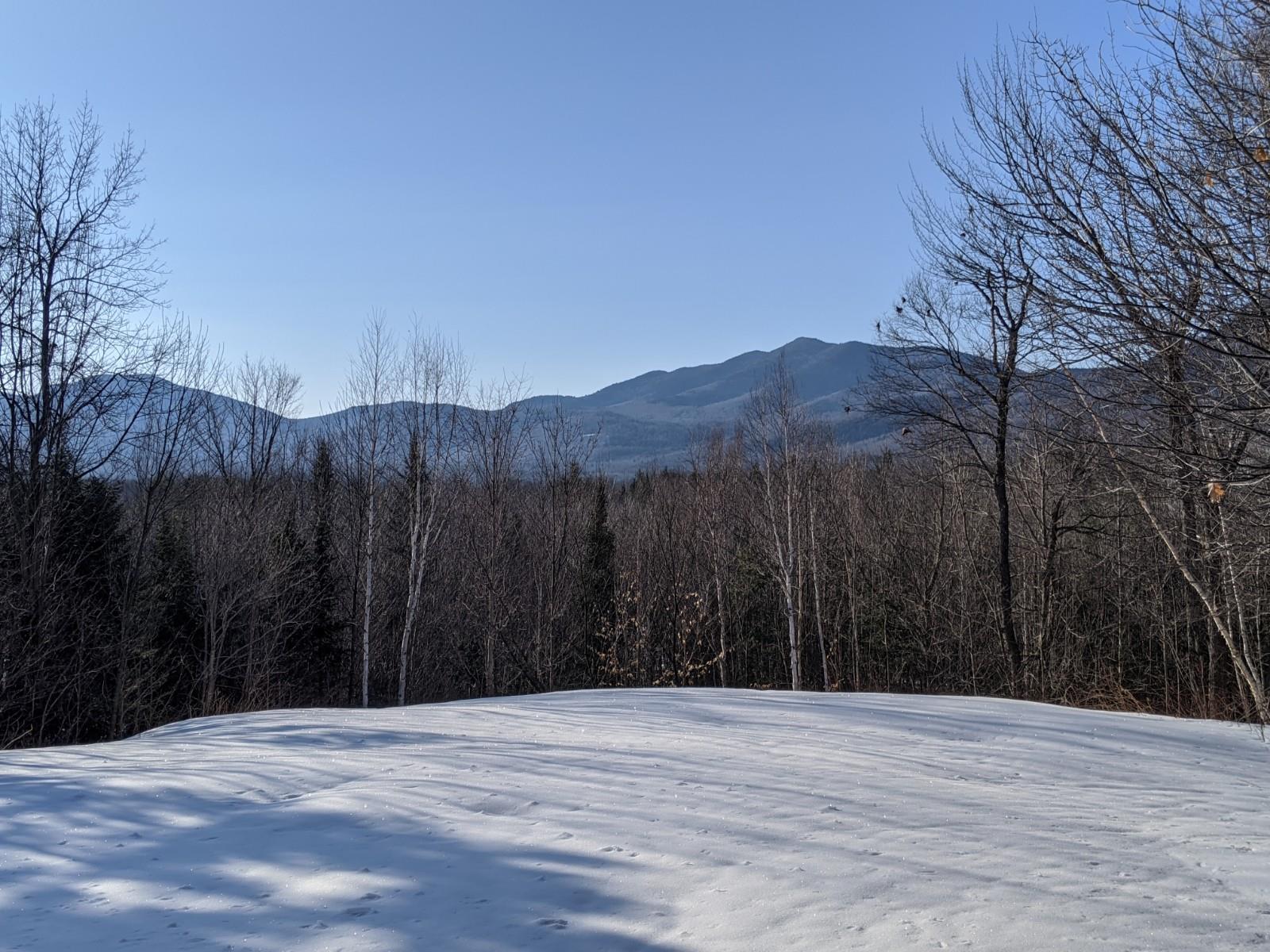 15 Table Rock Road Bartlett, NH 03812 - Photo 5 of 10