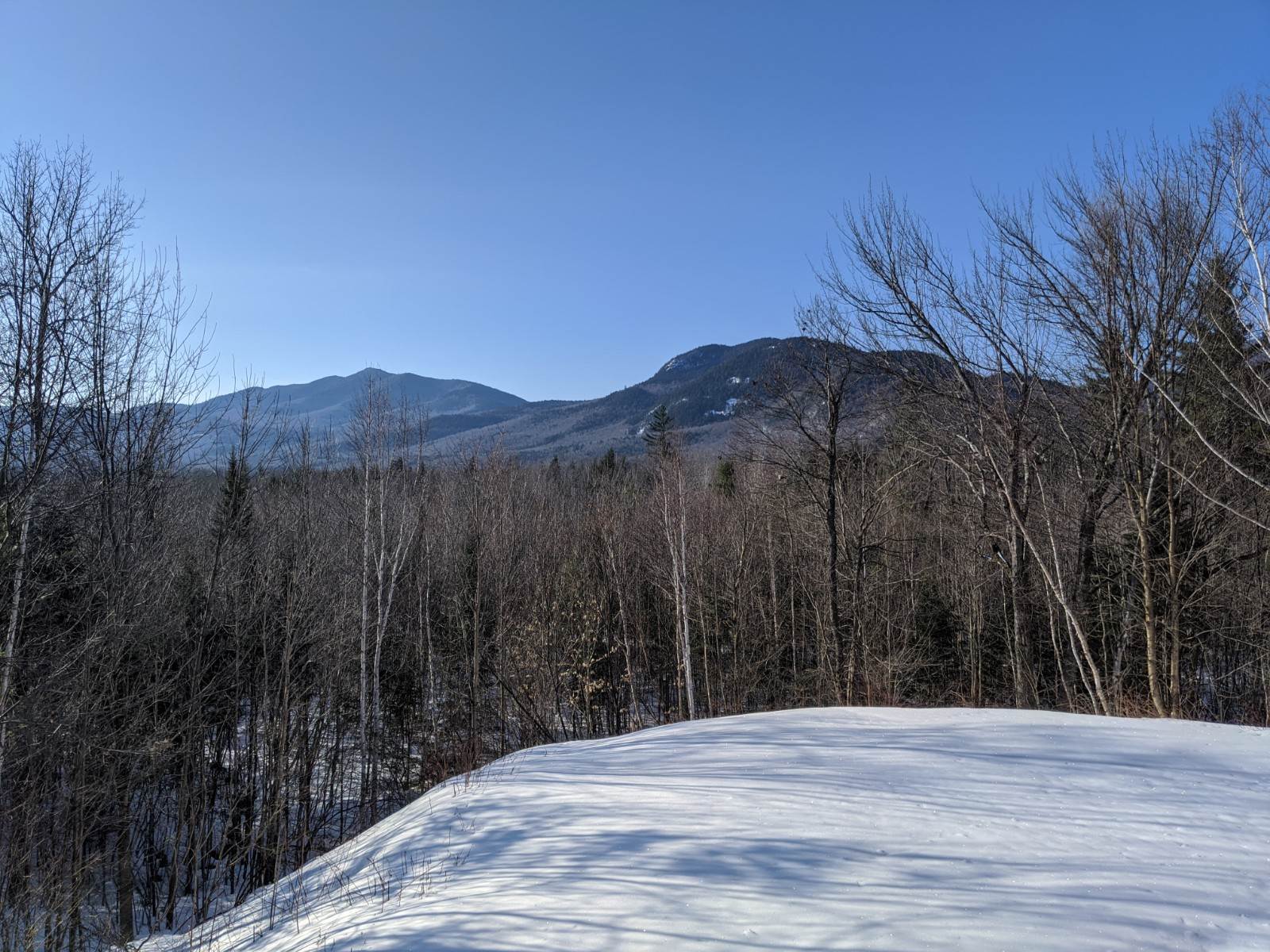 15 Table Rock Road Bartlett, NH 03812 - Photo 6 of 10