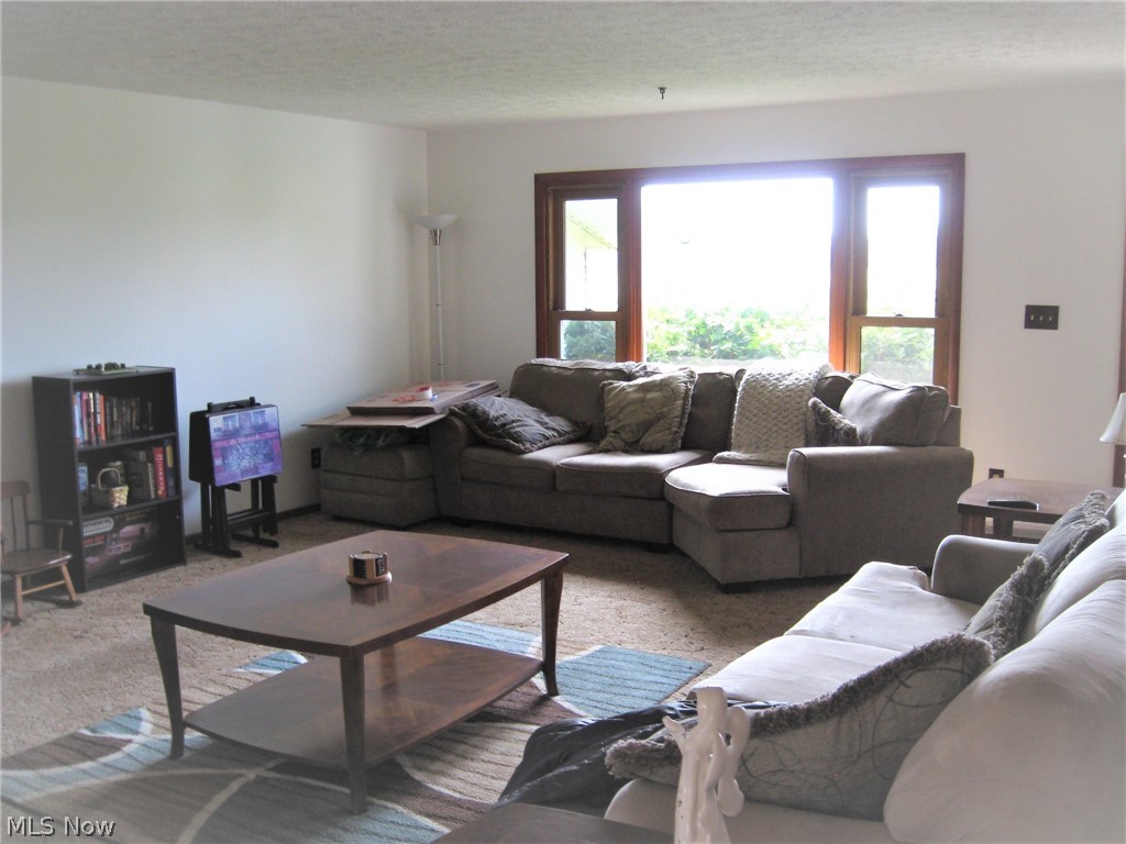 8075 Rodgers Road Lodi, OH 44254 - Photo 3 of 21 Gallery Image 3