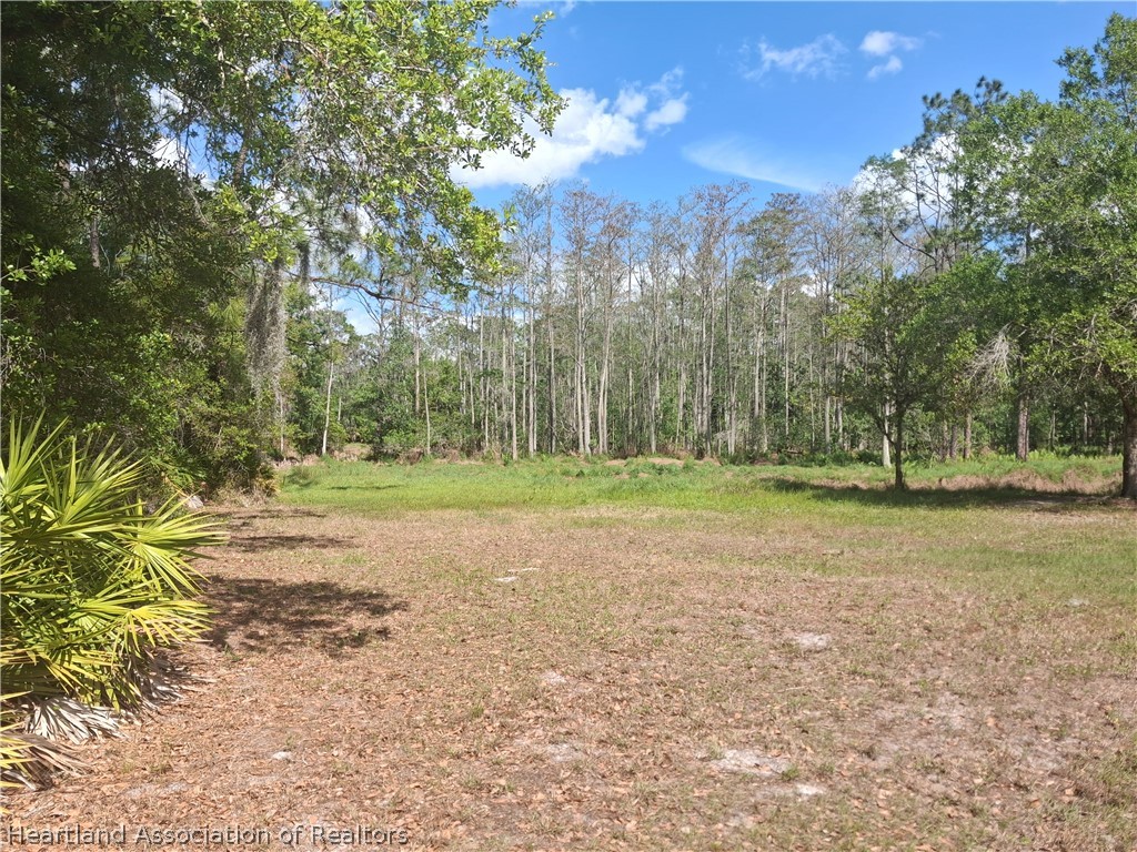 3708 Oak Hill Ranch Zolfo Springs, FL 33890 - Photo 3 of 20