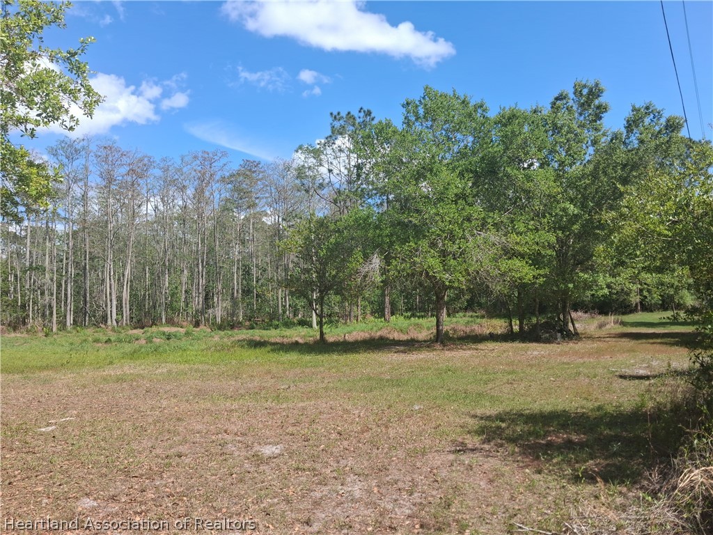 3708 Oak Hill Ranch Zolfo Springs, FL 33890 - Photo 4 of 20