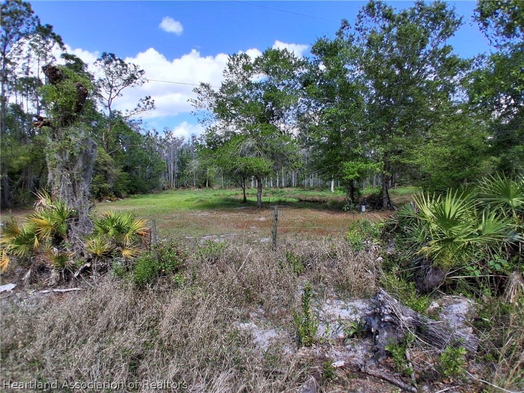 3708 Oak Hill Ranch Zolfo Springs, FL 33890 - Photo 5 of 20