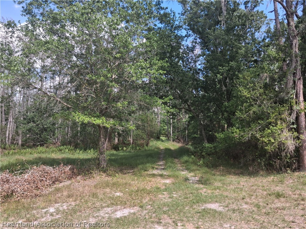 3708 Oak Hill Ranch Zolfo Springs, FL 33890 - Photo 6 of 20