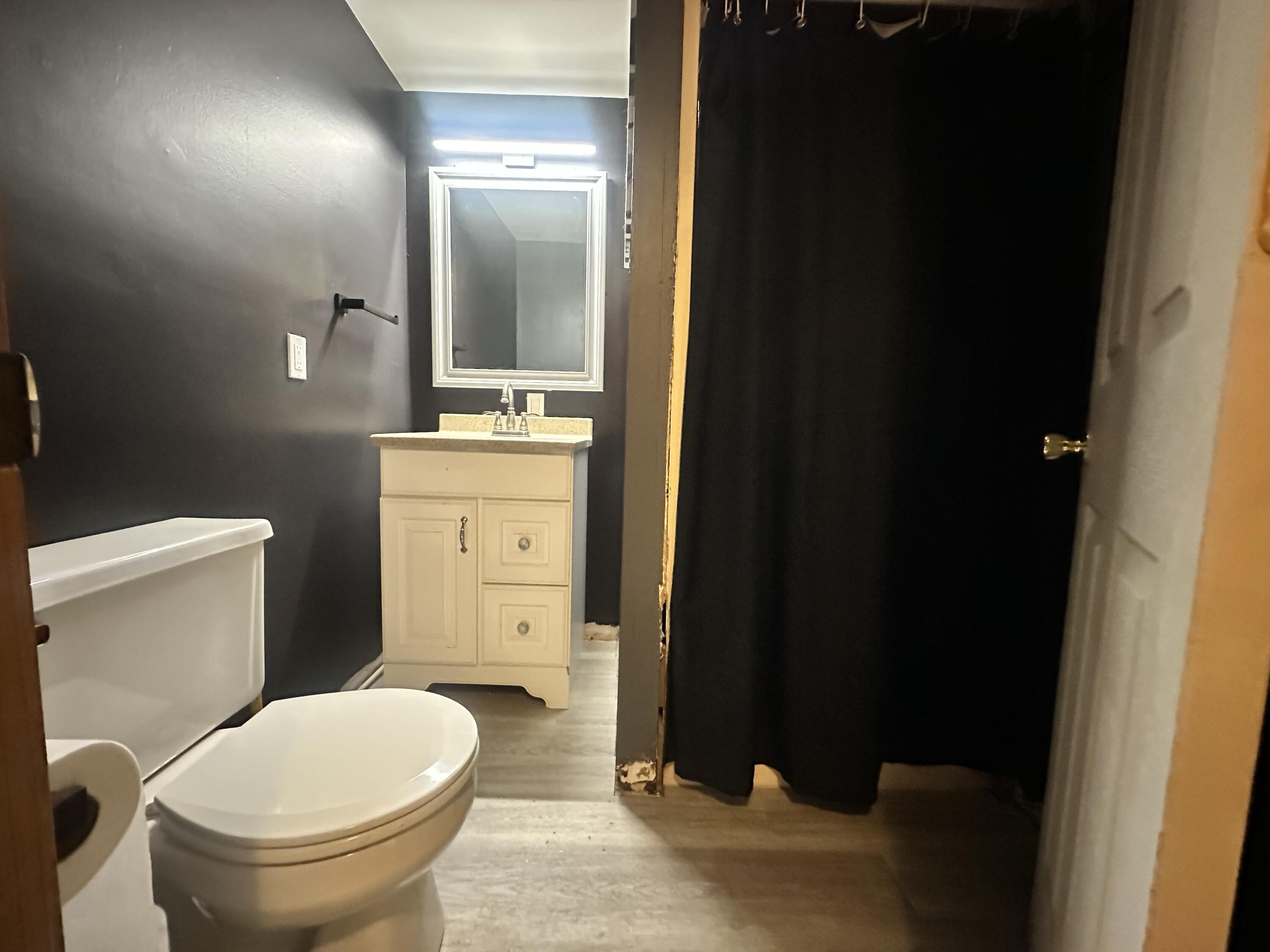 308 North Phelps Street Decatur, MI 49045 - Photo 20 of 25 basement bath
