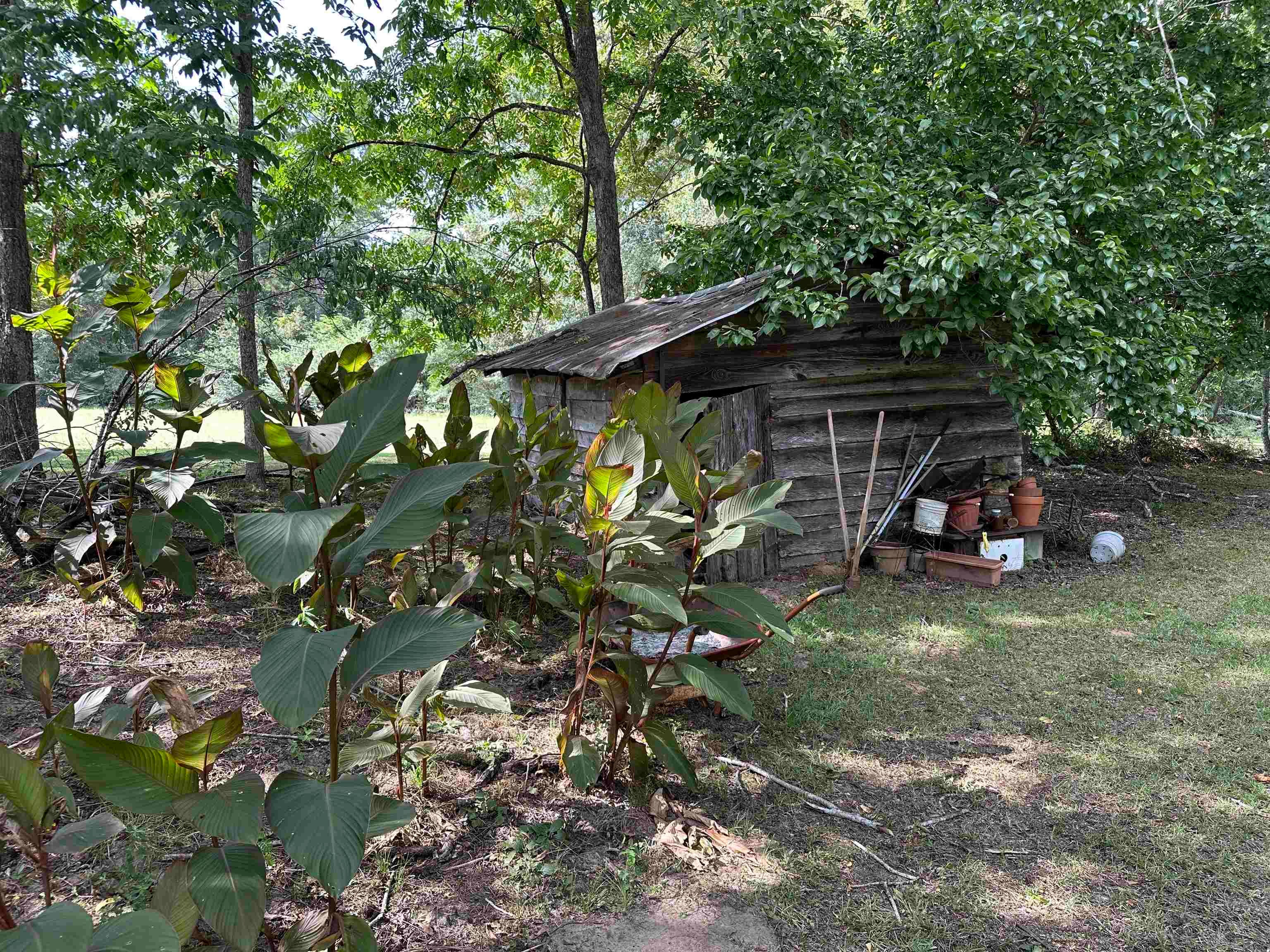 31993 Turkey Creek Road Red Level, AL 36474 - Photo 16 of 24 Gallery Image 16