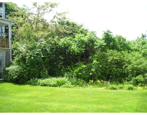 295 Nahant Road, Unit 9 Nahant, MA 01908 - Photo 4 of 5 Gallery Image 4