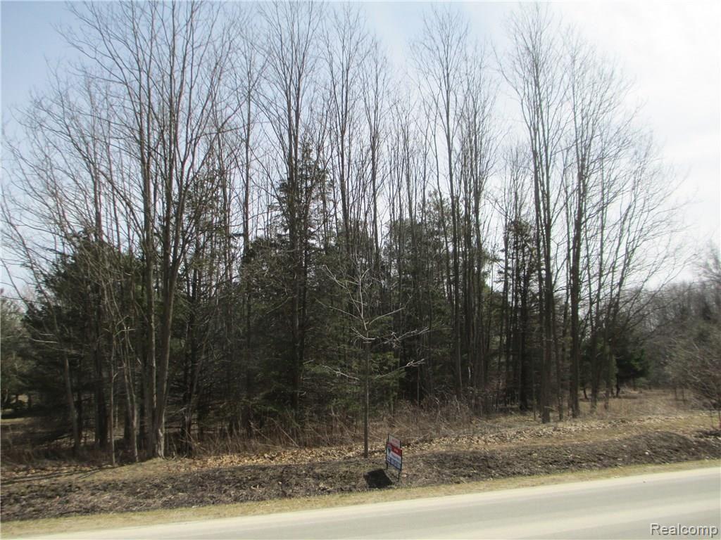 Parcel 1 Duffield Byron, MI 48418 - Photo 1 of 3