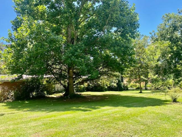 702 Winn Avenue Fairhope, AL 36532 - Photo 4 of 40