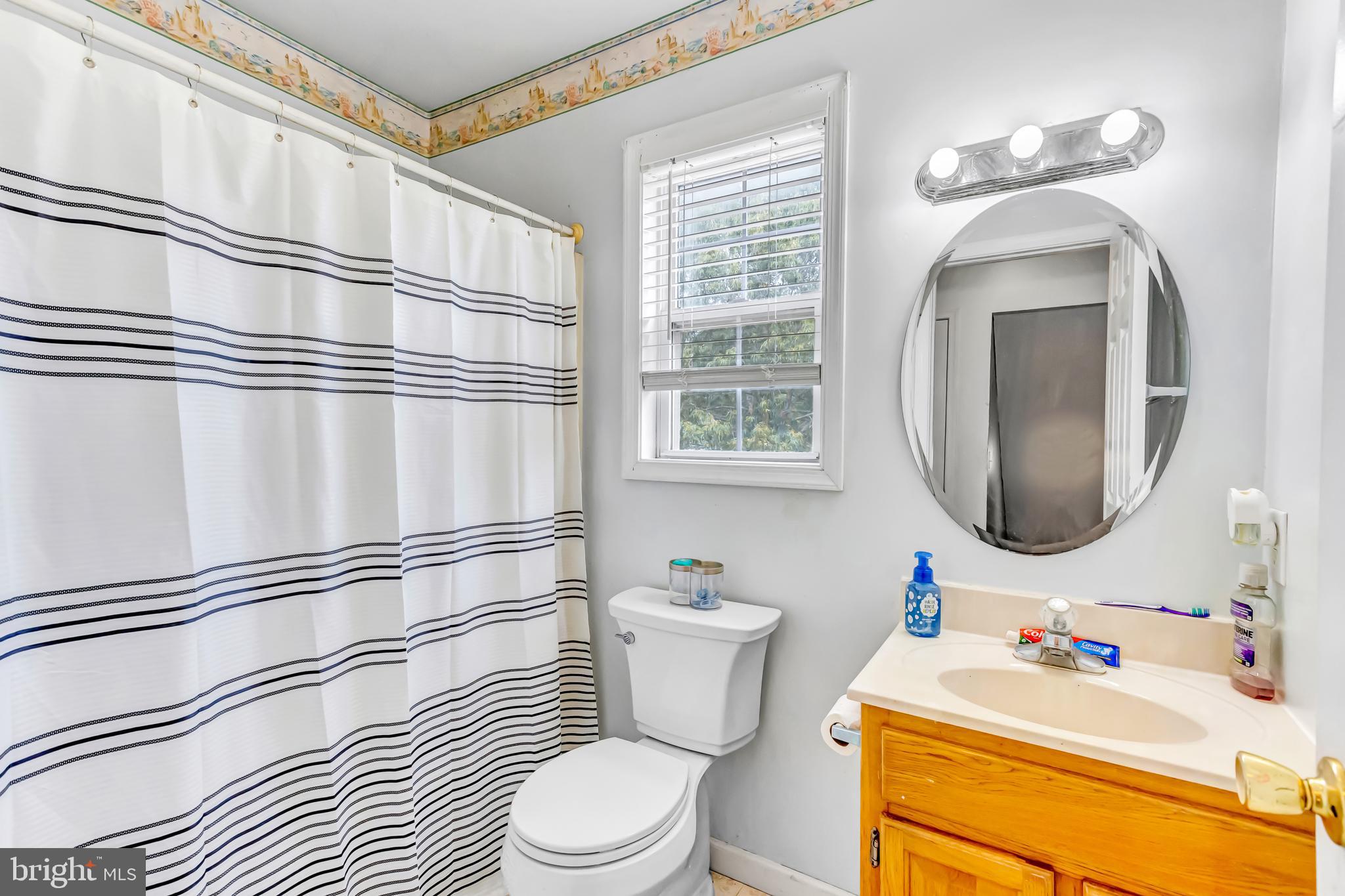 4925 Campground Road Eden, MD 21822 - Photo 23 of 42 a bathroom with a sink a toilet and a mirror