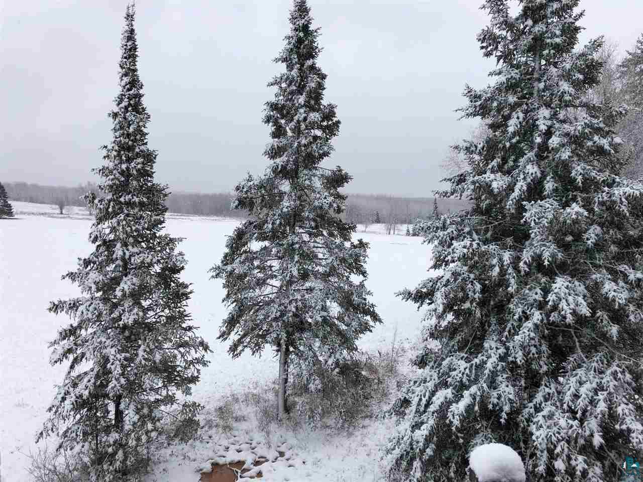 0 Wickman Road Mason, WI 54856 - Photo 8 of 9