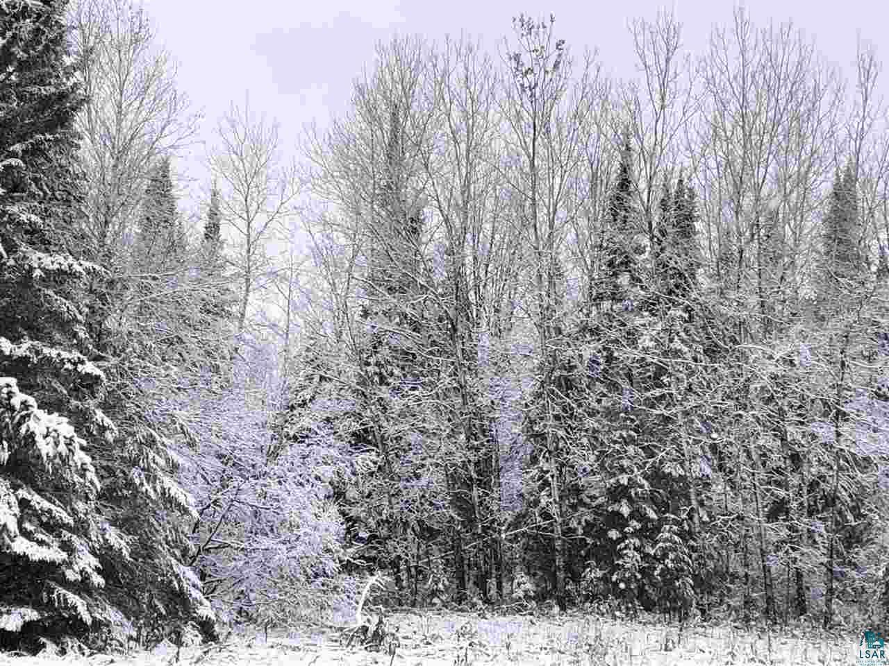 0 Wickman Road Mason, WI 54856 - Photo 9 of 9