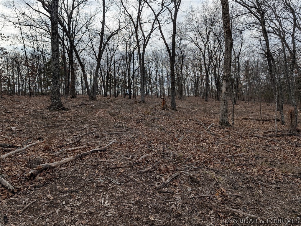 B B West Ridge Sunrise Beach, MO 65079 - Photo 11 of 17