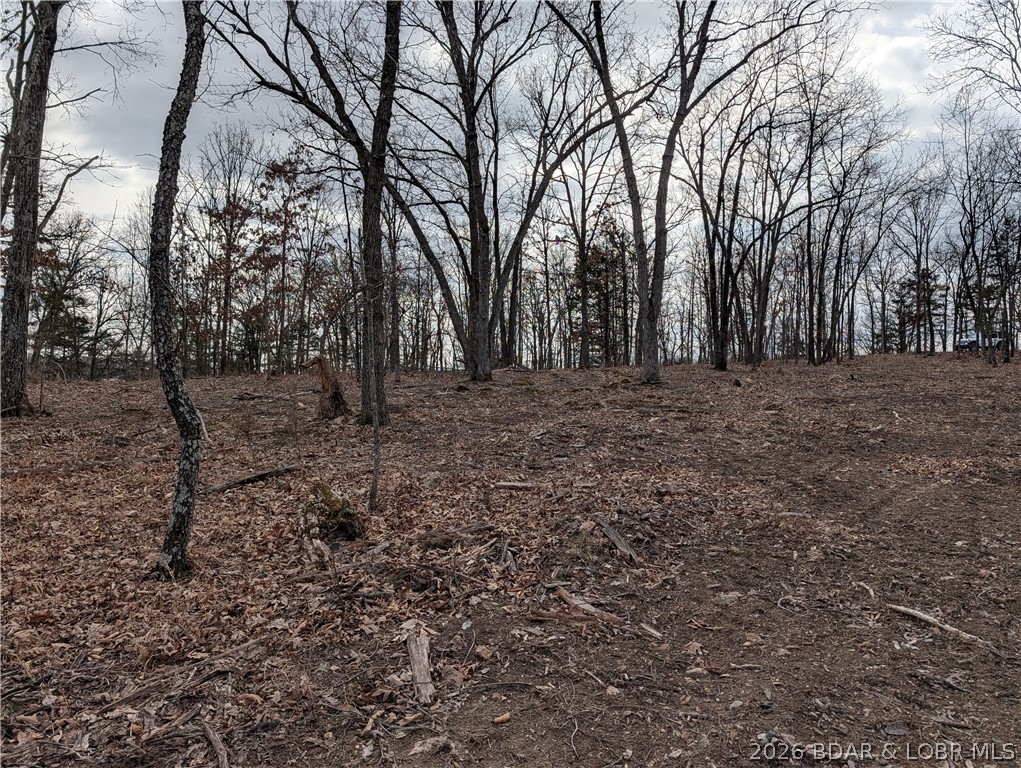 B B West Ridge Sunrise Beach, MO 65079 - Photo 12 of 17