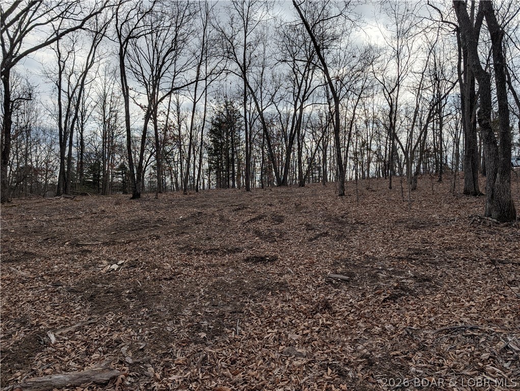 B B West Ridge Sunrise Beach, MO 65079 - Photo 13 of 17