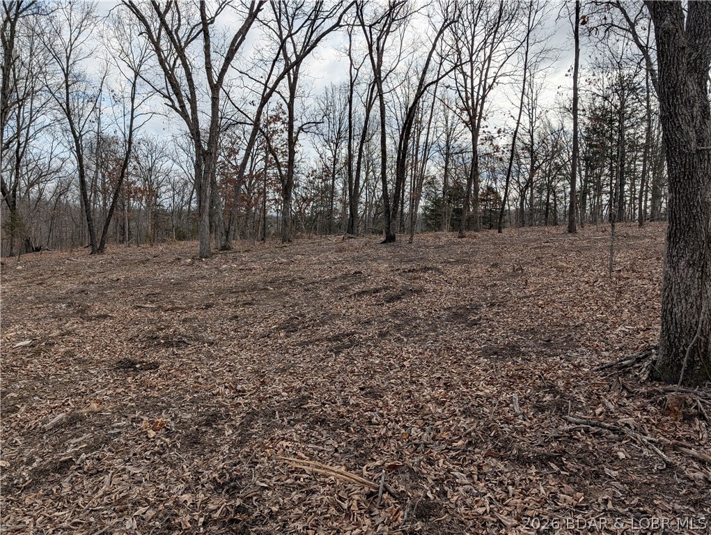 B B West Ridge Sunrise Beach, MO 65079 - Photo 14 of 17