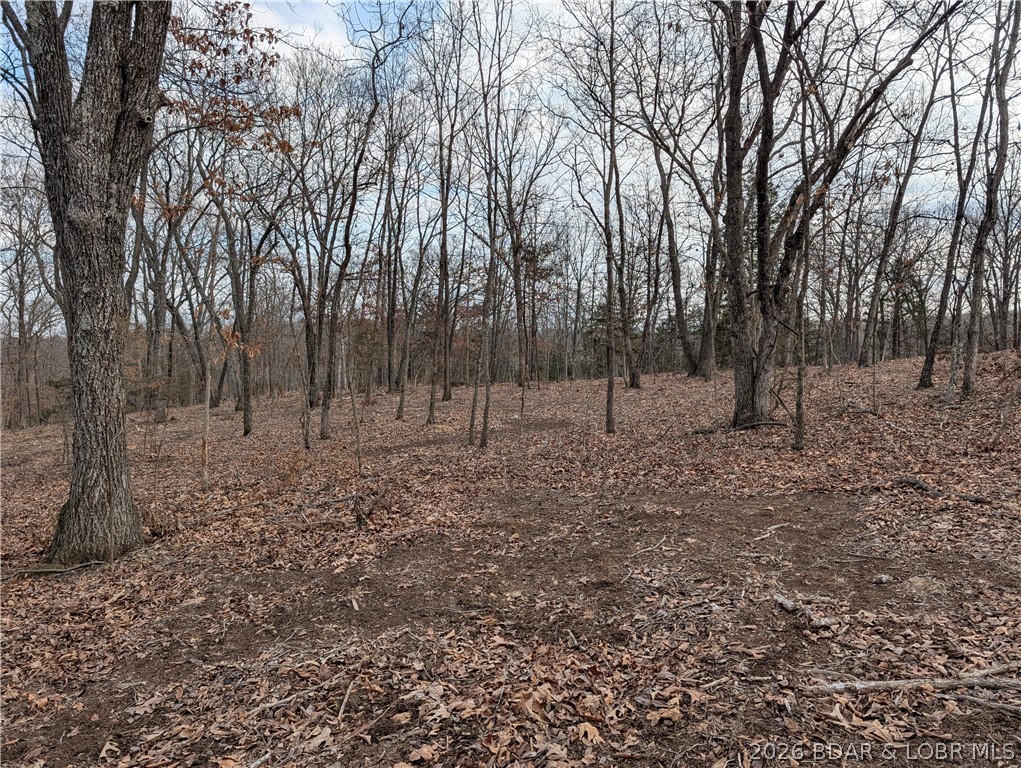 B B West Ridge Sunrise Beach, MO 65079 - Photo 15 of 17