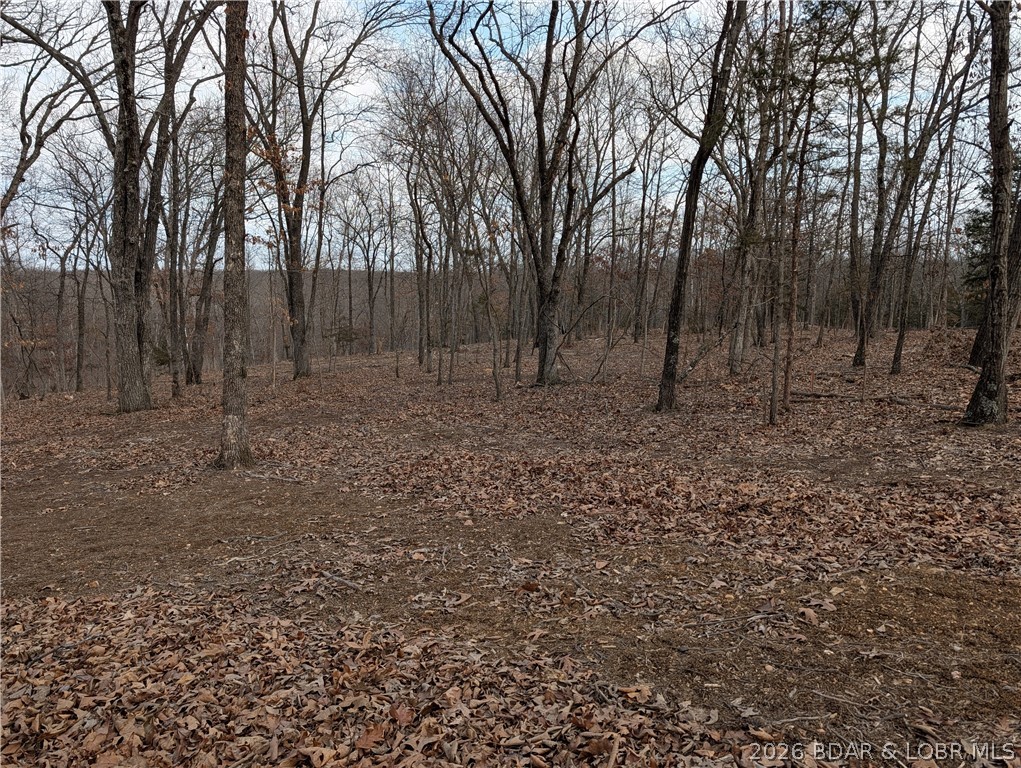 B B West Ridge Sunrise Beach, MO 65079 - Photo 16 of 17