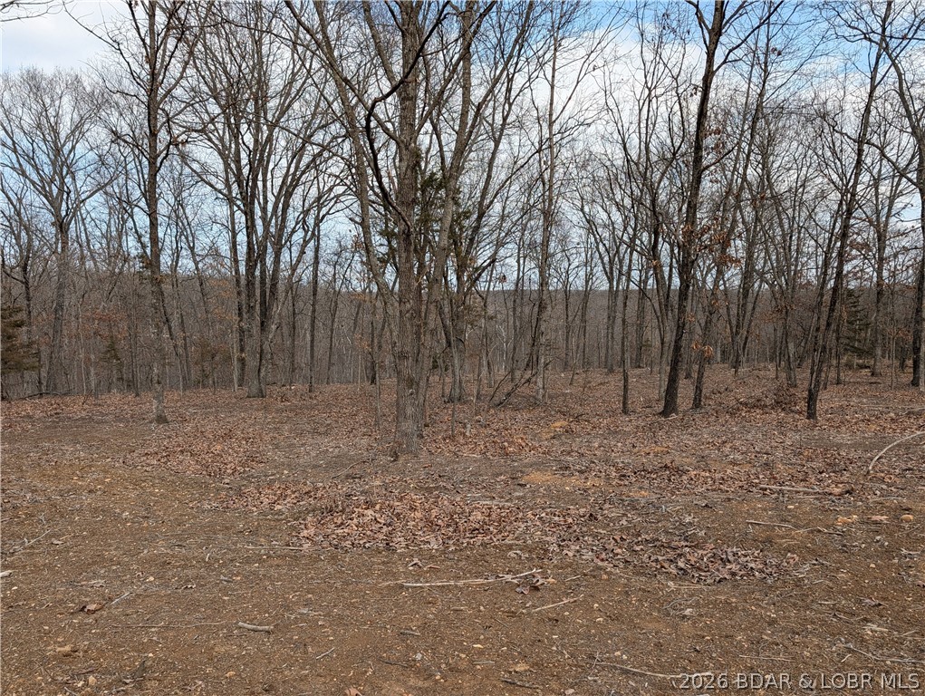 B B West Ridge Sunrise Beach, MO 65079 - Photo 17 of 17