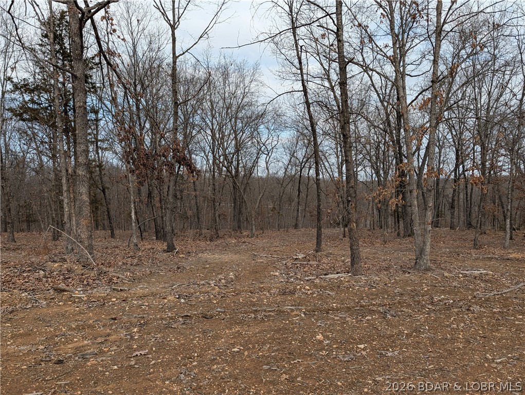 B B West Ridge Sunrise Beach, MO 65079 - Photo 4 of 17