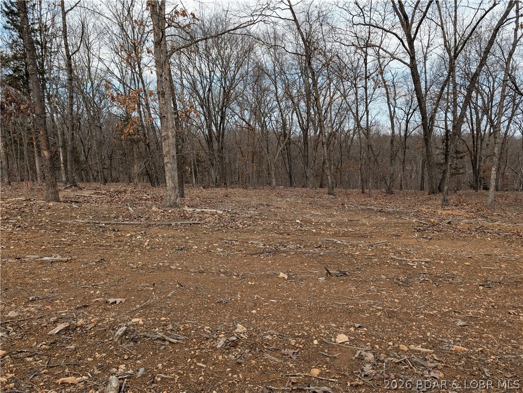 B B West Ridge Sunrise Beach, MO 65079 - Photo 5 of 17