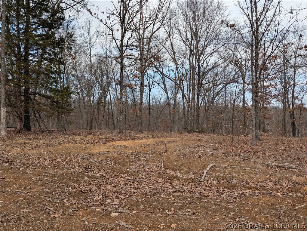 B B West Ridge Sunrise Beach, MO 65079 - Photo 6 of 17