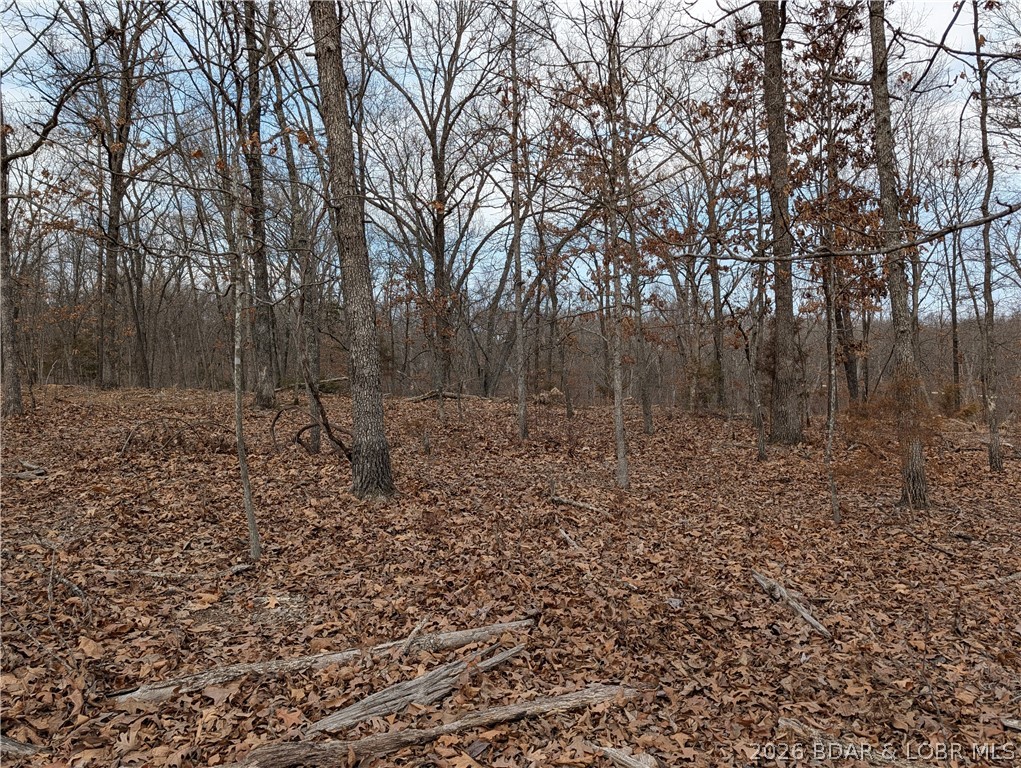 B B West Ridge Sunrise Beach, MO 65079 - Photo 7 of 17