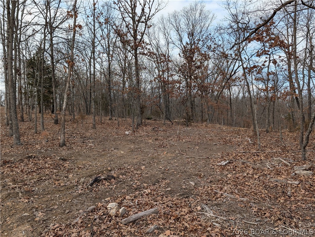 B B West Ridge Sunrise Beach, MO 65079 - Photo 8 of 17